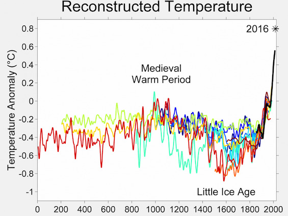 Graph depicting the Little Ice Age, which helps understand what history teaches us about climate change
