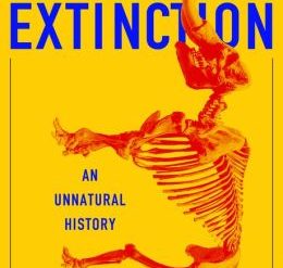 Are we living through the Sixth Extinction?