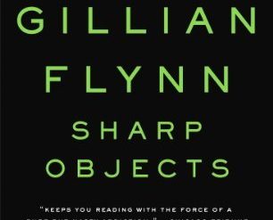 Before Gone Girl, Gillian Flynn wrote this disturbing novel