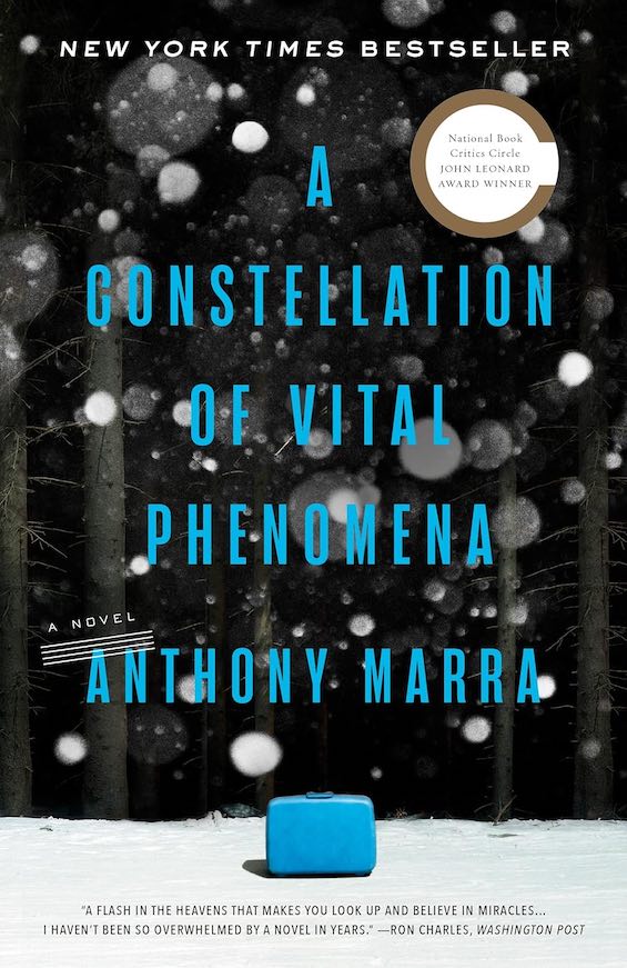 Cover image of "A Constellation of Vital Phenomena," one of the great war novels