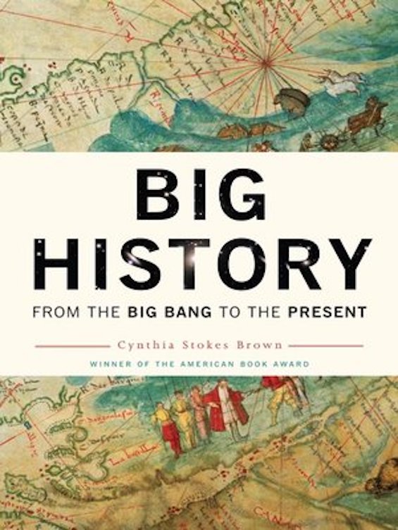 Cover image of "Big History" by Cynthia Stokes Brown, with broad-perspective on world history. 