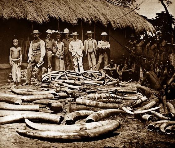 Photo of ivory hunters in the Belgian Congo