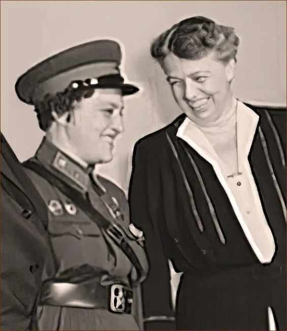Eleanor Roosevelt with the Soviet female sniper Lyudmila Pavlichenko in one of many meetings described in this novel