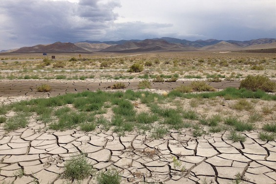 Photo of dried and cracked land in the southwester US, a familiar scene in this novel about the Southwestern drought
