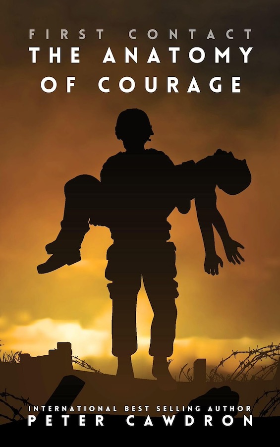 Cover image of "The Anatomy of Courage," a new alien invasion story