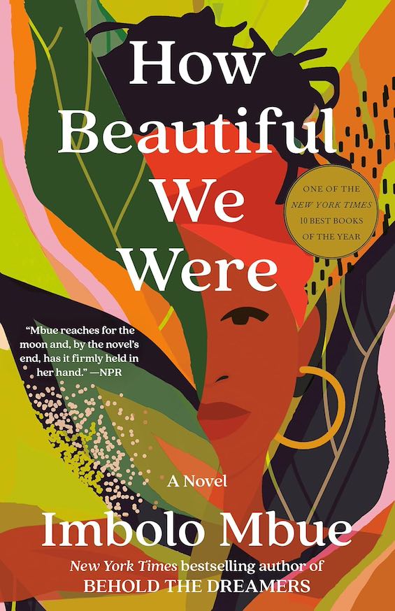 Cover image of "How Beautiful We Were," a novel about environmental devastation