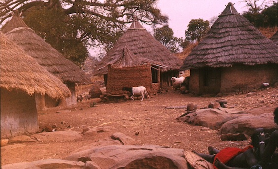 Photo of a West African village like the one in this novel about environmental devastation