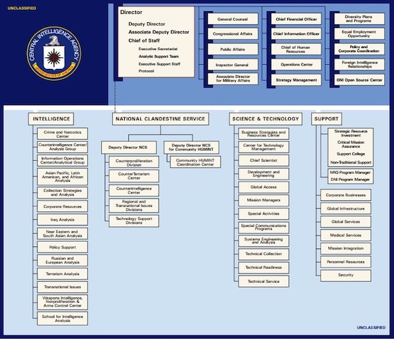 This damning portrait of the CIA would have benefited from an organizational chart of the agency