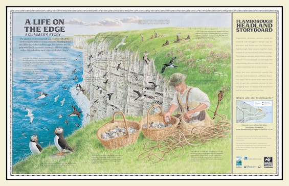 Artist's portrayal of a man collecting seabird eggs on the Yorkshire coast, the theme in this unpredictable mystery