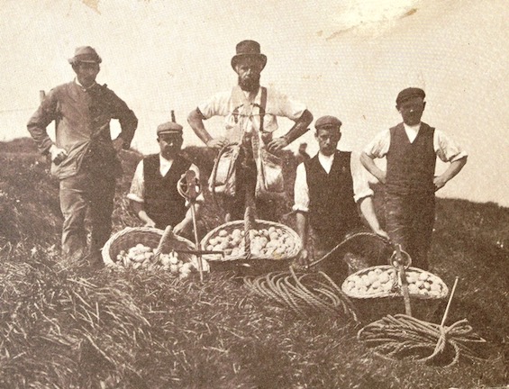 Photo of Bempton "climmers" in the 1920s with eggs they've collected, subjects in this unpredictable mystery