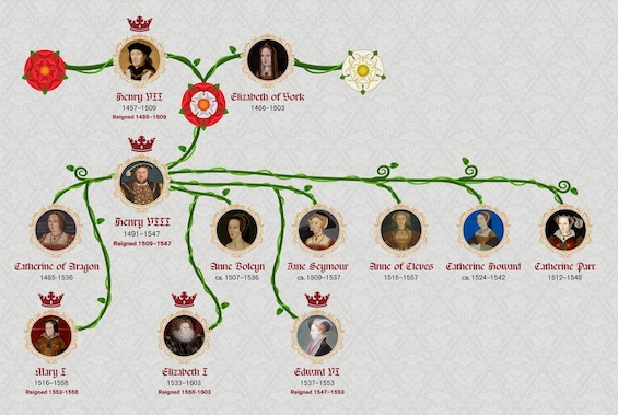 A Tudor family tree, showing the relationships featured in these best novels about the Tudors