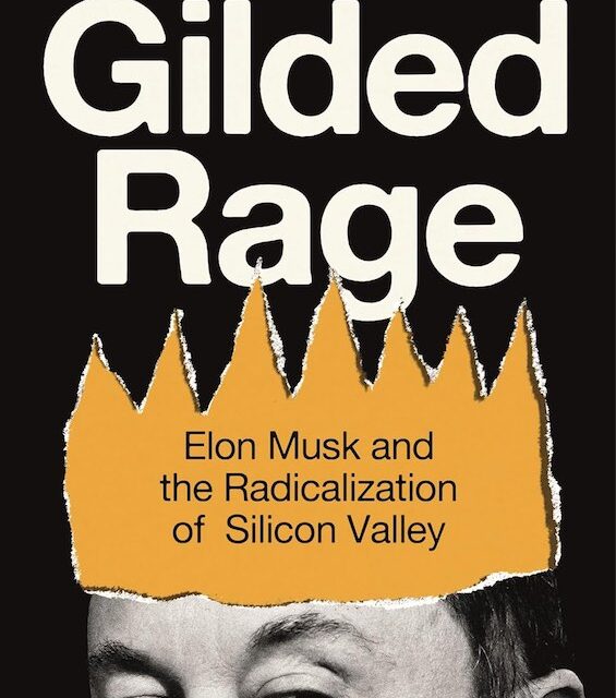 How Elon Musk and his tech bros went nuts over Donald Trump