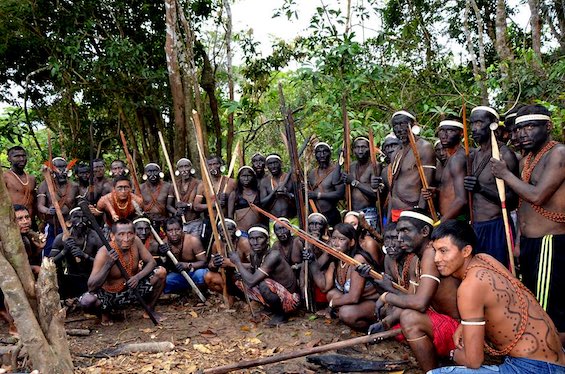 People of one tribe in the Vale do Javari like the one portrayed in this story of First Contact in the Amazon