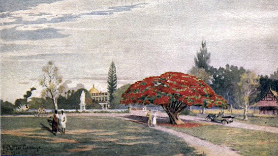 Painting of Bangalore's Cubbon Park in the 1920s, one of the settings for this historical murder mystery