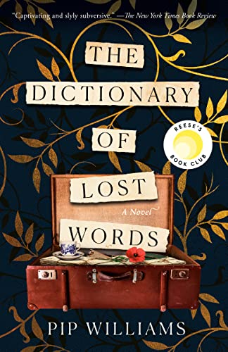 Cover image of "The Dictionary of Lost Words"
