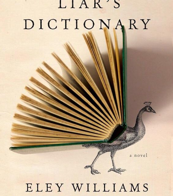A hilarious novel about a dictionary