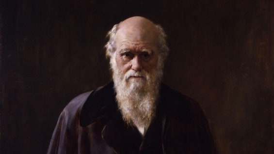 Image of Charles Darwin, who developed the theory of evolution