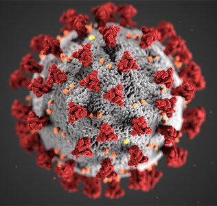 Artist's rendering of the SARS-CoV-2 virus, responsible for the COVID-19 pandemic