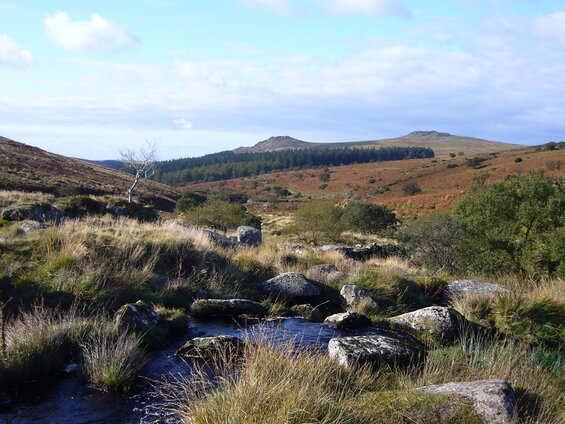 Image of Dartmoor in Devonshire, a fitting setting for this Gothic mystery