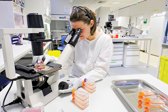 Image of work underway in a genetic engineering lab like the one portrayed in this biological techno-thriller