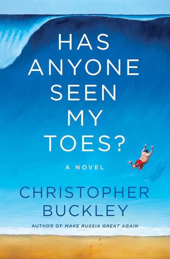 Cover image of "Has Anyone Seen My Toes?," a fictional pandemic memoir