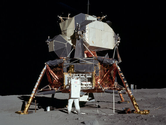 Image of the Apollo 11 Lunar Module, which figures in this weird science fiction novel